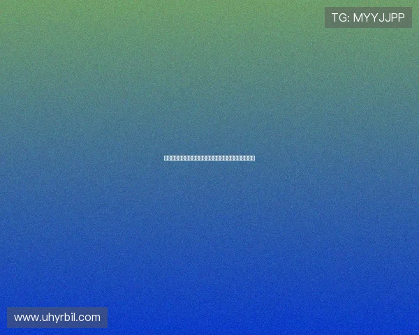 摩洛哥对阵海地比赛中球迷围巾的独特设计与文化象征解读